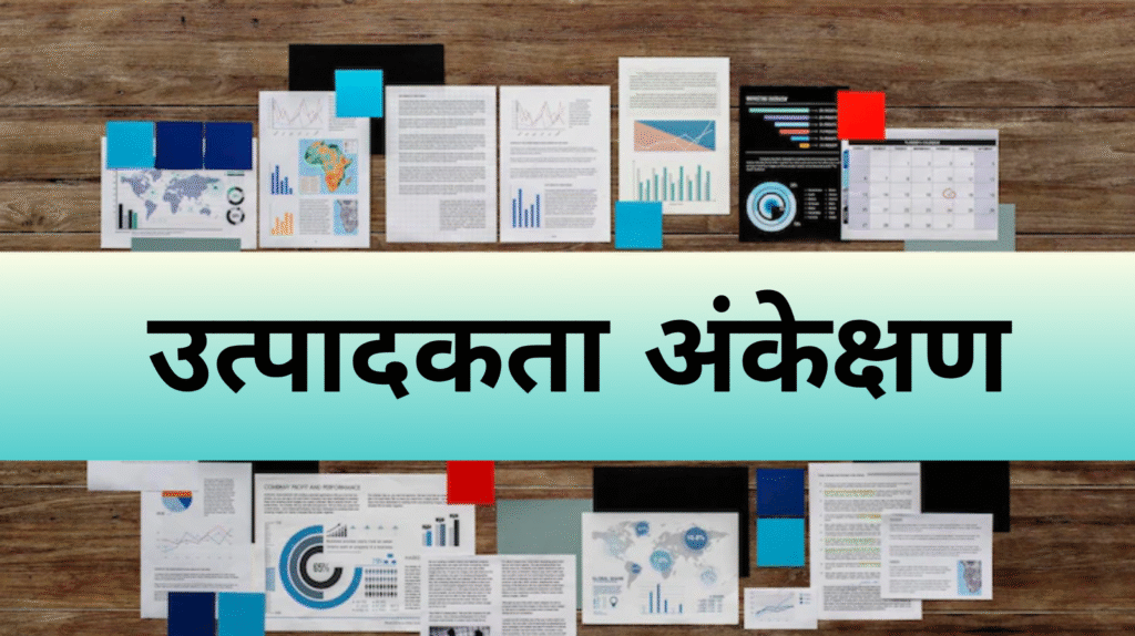 उत्पादकता अंकेक्षण