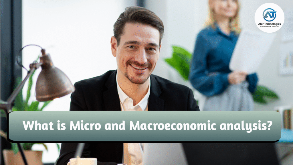 What is Micro and Macroeconomic analysis ?